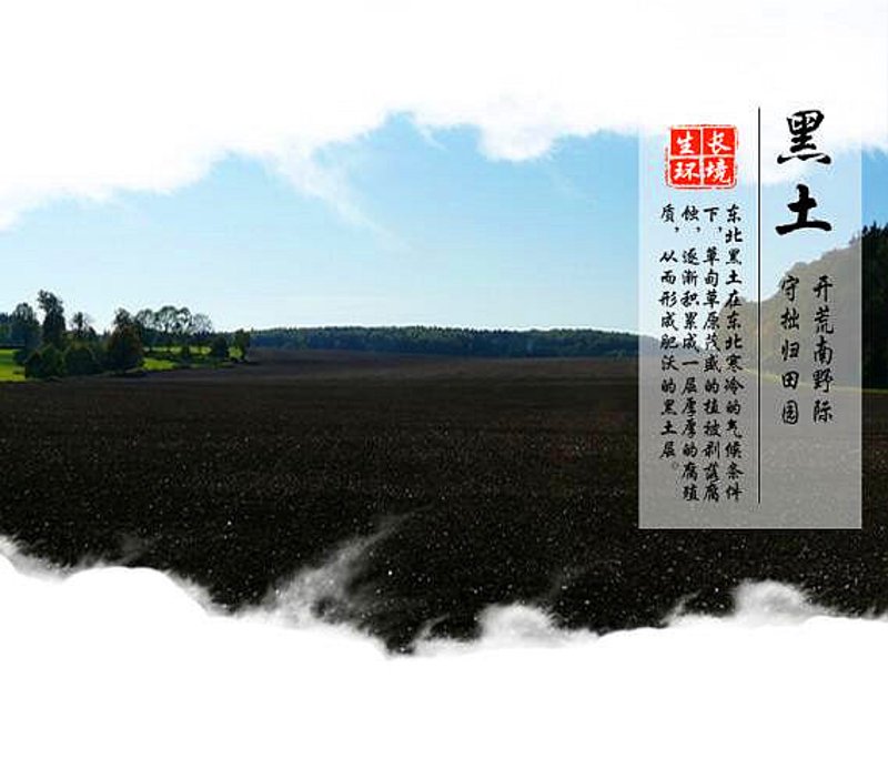 如何有效利用三河小时工,提升工作效率